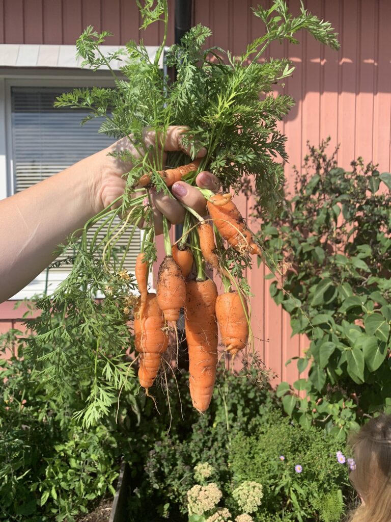 På våren sår vi och på hösten skördar vi tillsammans!